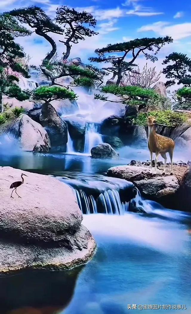 电煮锅怎么蒸红薯是一个专业的问答类网站